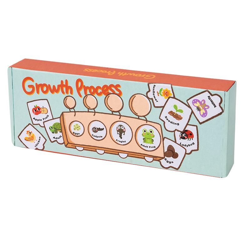Montessori Life Cycle Growth Puzzle for Kindergarten & Small Classes - Educational Science Toy