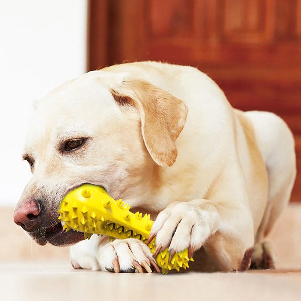 Dog Squeaky Dumbbell Chew Toy - Molar Stick Teeth Cleaning Bone Toothbrush for Puppies & Adult Dogs,