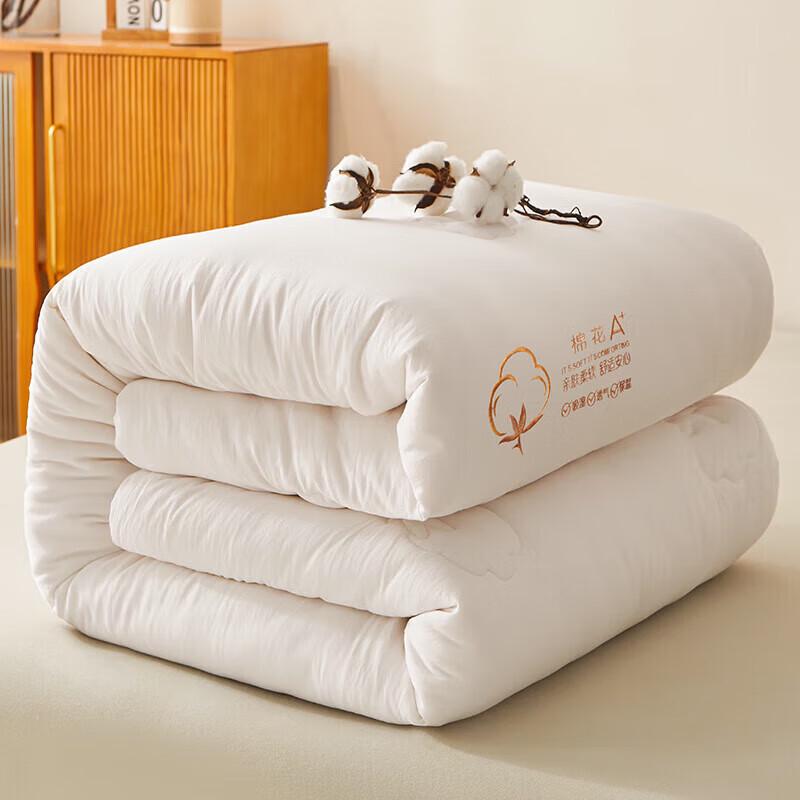 Premium Xinjiang Cotton All-Season Quilt