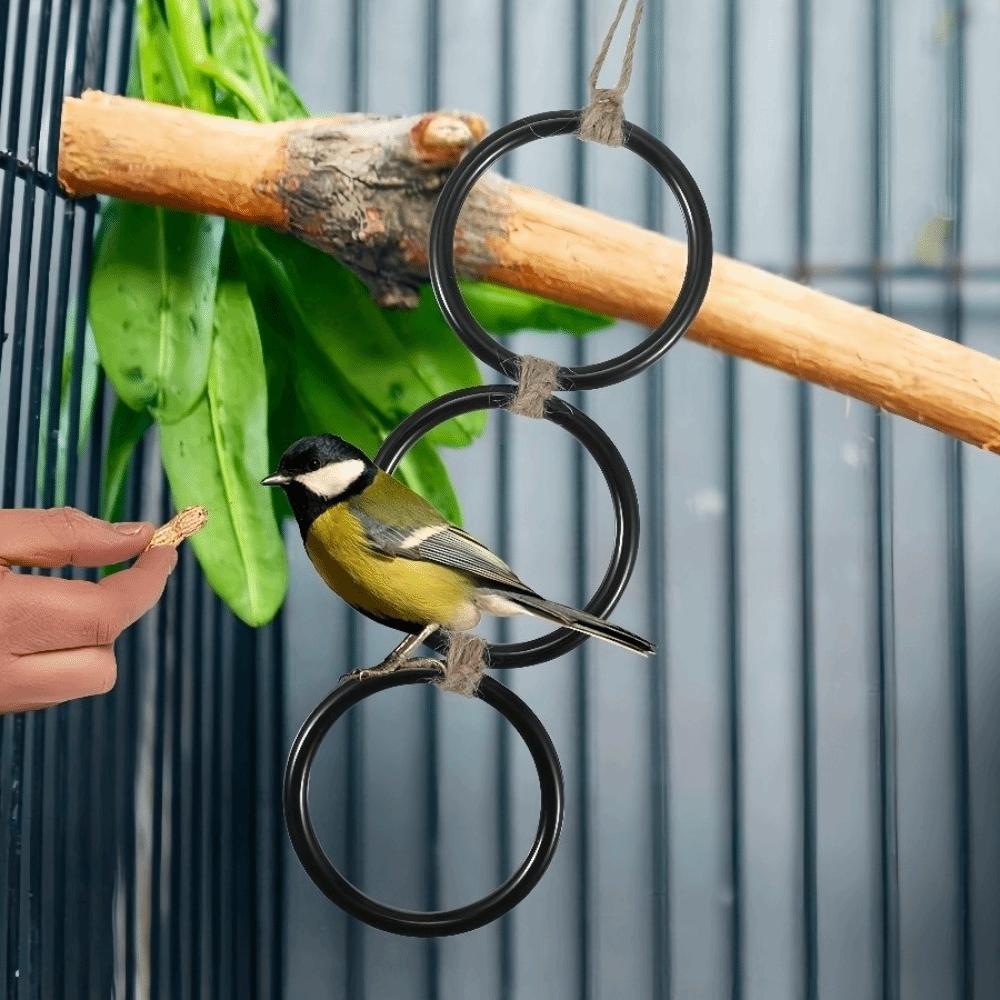 Enrichment Toy Reptile Climbing Toy Acrylic Gecko Climbing Rings  Pet Terrarium