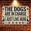 Vintage Tin Sign Funny Dog Wall Decor Metal Poster