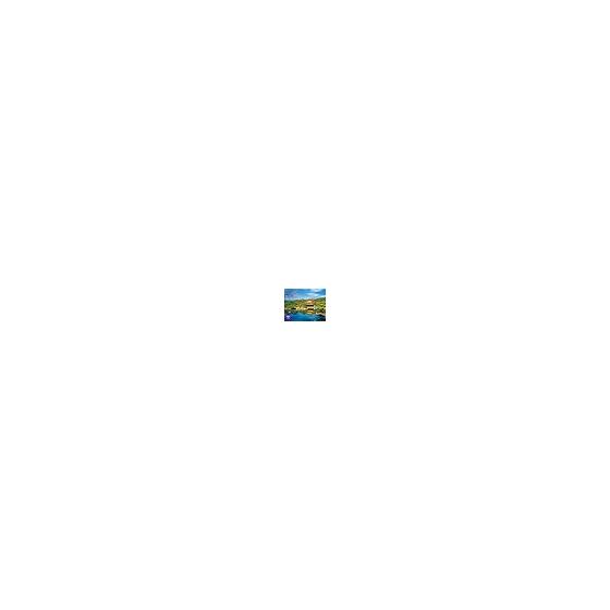 Kyoto scenic calendar 2026 (monthly calendar/wall hanging) (Neko Publishing) (Calendar 2026) (Calendar series)