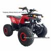 60V Electric Off-Road Beach Buggy ATV with Shaft Drive