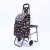 Outdoor Folding Shopping Cart