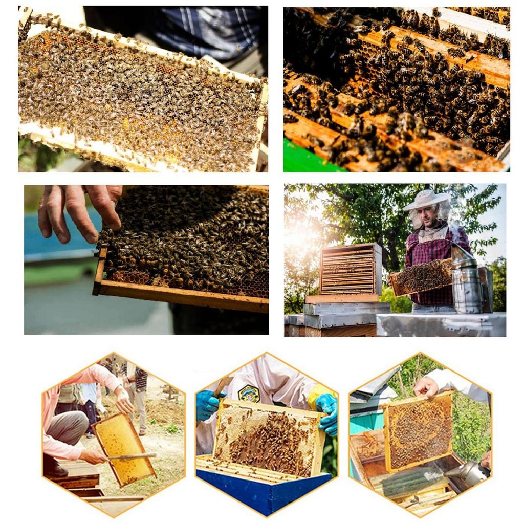 Bee Gear Hive Frame Clamp Stainless Steel Honeycomb Clip Wooden Handle Beekeeping Supplies Nest Box Jig Beehive Accessories 1Pc