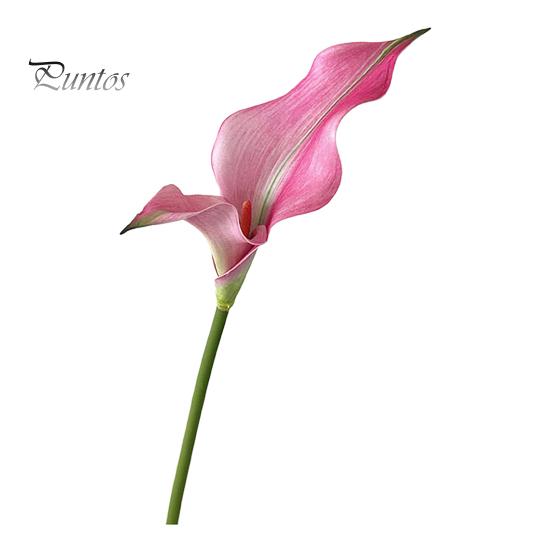 Long-lasting Artificial Flower Common Calla Lily Realistic Fake Stem Home Office Durable Wedding Party Indoor Outdoor Faux Bloom Centerpiece