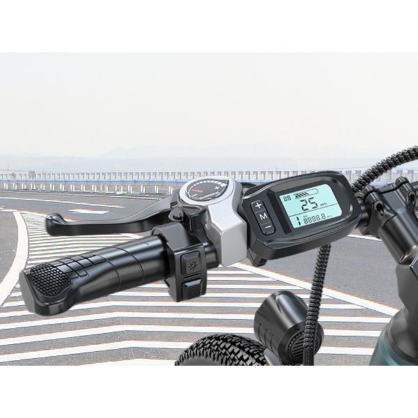 GT900 Mountain Bike da Donna 26 Pollici E-Bike Telaio in Acciaio Inossidabile Motore Brushless 250W Freno a Disco Doppio Forcella Ammortizzata 21 Velocità