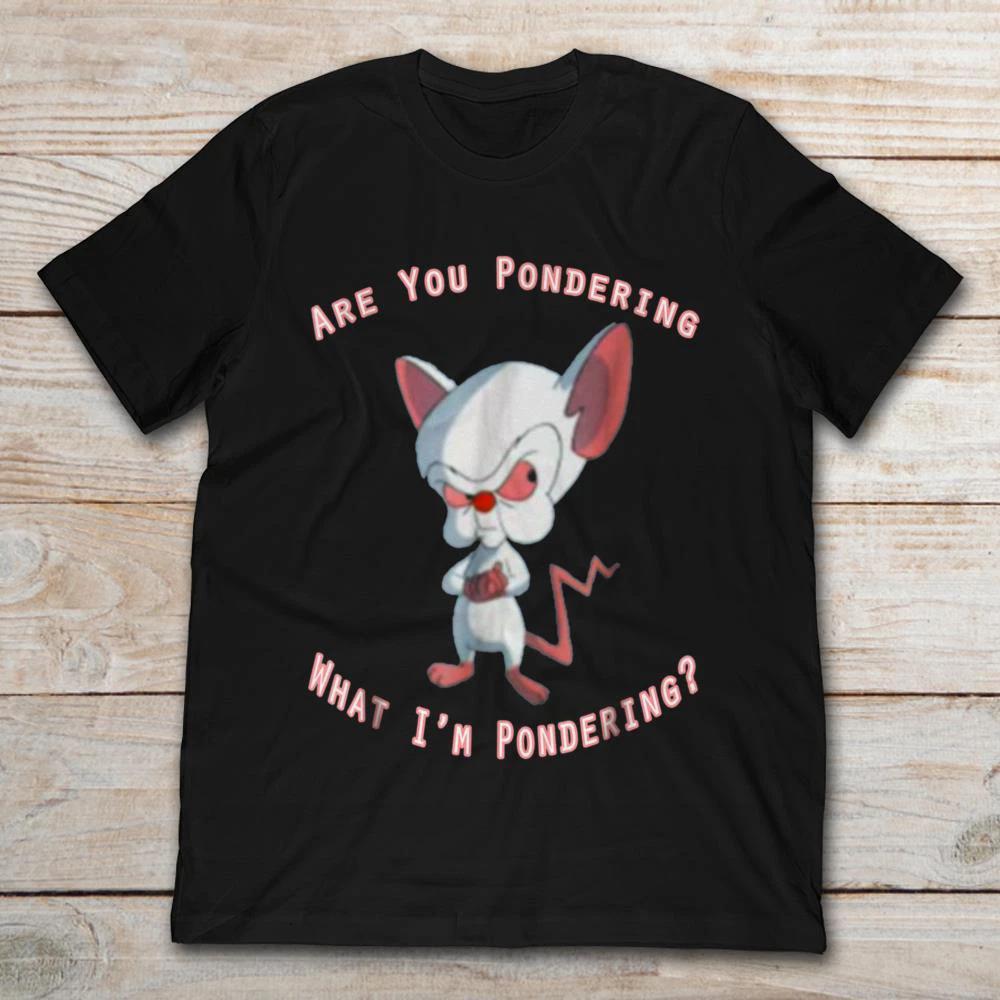

Pinky and The Brain Black TShirt Unisex Cotton Tee Funny Gift Harajuku Streetwear S