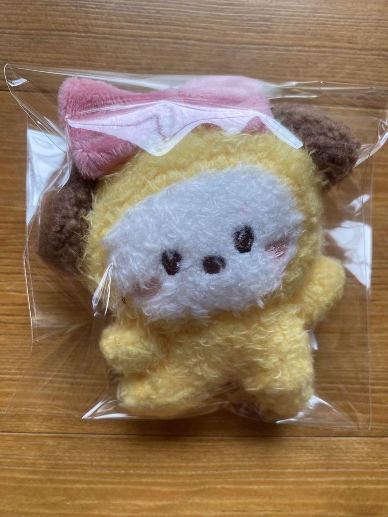[USED] BT21 minini PLUSH KEYRING LOVELY CHIMMY