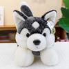 Plush Husky Toy Cute Cartoon Girl Child Bedroom Decoration Scene Simulation Doll