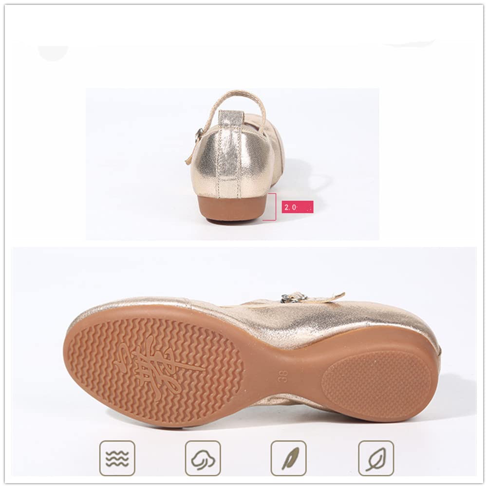 [Gengzee] Women's Dance Shoes, Social Dance Shoes, Ladies' Modern Latin Shoes, Adult Jazz Dance Shoes, Women's Dance Sneakers, Dance Shoes, Silver, 23