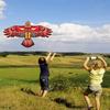 2025 Brand-new Scarecrow Decoy for Farm Garden Pest Bird Repellent Anti Bird Flying Hawk Kite Bird Repeller Large Eagle Kites