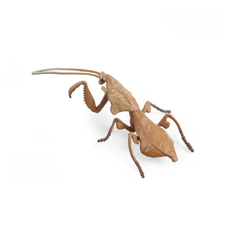 Insect Model Water Bug Toy With Plastic Material For Childrens Educational Play