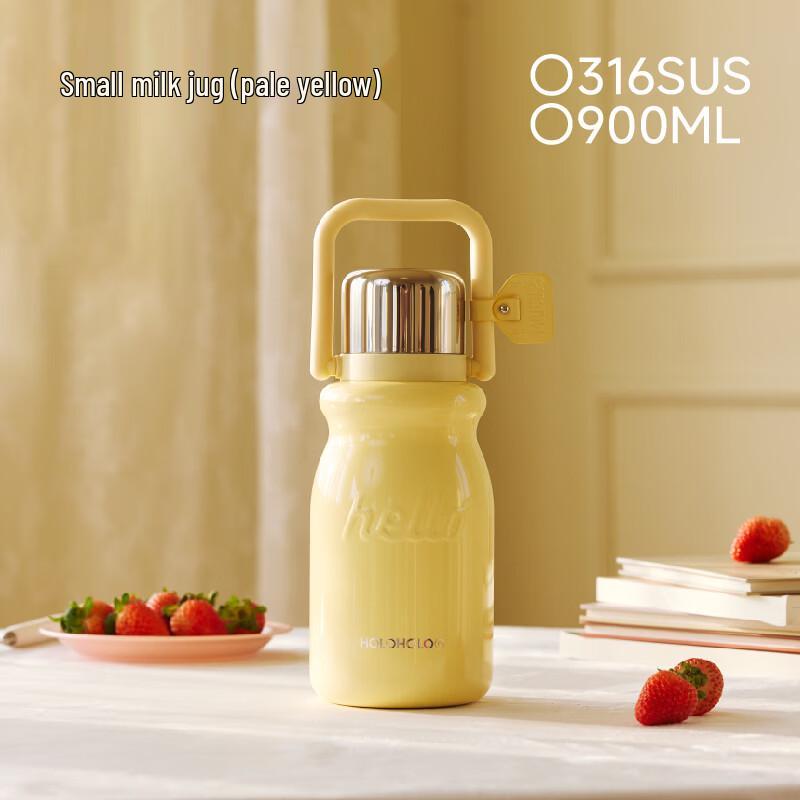 HOLOHOLO Stainless Steel Insulated Water Bottle with Straw