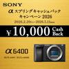 Sony Mirrorless Interchangeable Lens Camera Power Zoom Lens Kit Silver SQ Interchangeable Lens 6400K Silver 6400 (Included Lens SELP16502)
