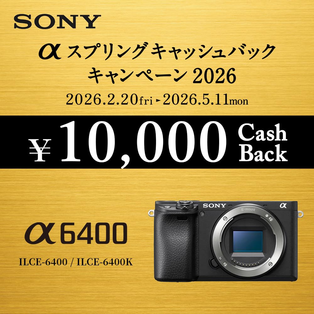 Sony Mirrorless Interchangeable Lens Camera Power Zoom Lens Kit Silver SQ Interchangeable Lens 6400K Silver 6400 (Included Lens SELP16502)