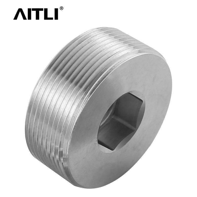 304/316 Stainless Steel Hex Socket Male Thread Oil/Water Pipe Plug
