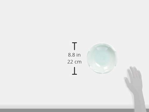 Saikai Pottery Hasami-yaki Celadon Bellflower-rimmed Dessert Bowl (Gift Boxed) 11440