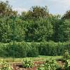 Wire Mesh Fence with Flange 1.6x10 M