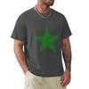Stelforma Vortnebulo Starshaped Word Cloud In Esperanto TShirt Graphic Tee Shirt Cheap Stuff Fruit of the Loom Unisexs T Shirts