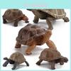 Childrens Pvc Land Turtle Model Static Figurine With Realistic Design For Collectors And Kids