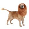 Dog wigs medium and large dog accessories pet dog wigs (With tail)