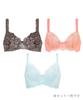 Bra Wing Lesiage Set PB9865 Multicolor D80 [Wing/Wacoal] [Lucky Bag] 3-piece Women's