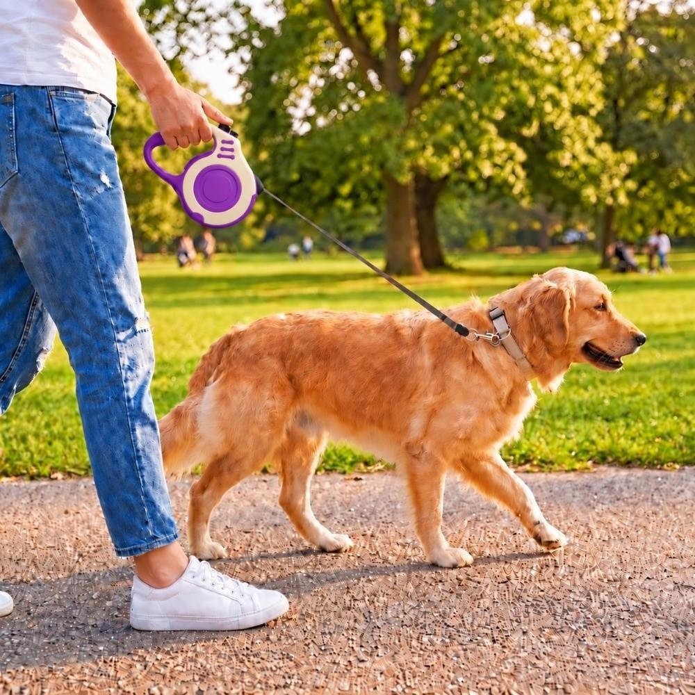 5M Multi Colors Pet Walking Leash ABS Shell Dog Chain Retractable Dog Leash Small Pet Use