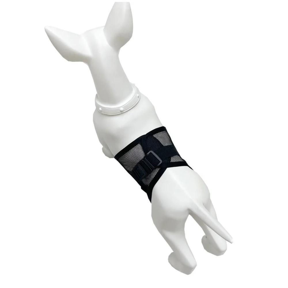 Pet Shorts Mesh Dog Physiological Pants Anti-Harassment Washable Politeness Belt Reusable Dog Diapers All Seasons Use