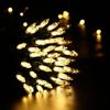 Brizled Color Changing Christmas Lights, 33ft 100 LED Christmas Lights Connectable, 12 Modes Warm White & Multicolored Xmas Light with Remote,