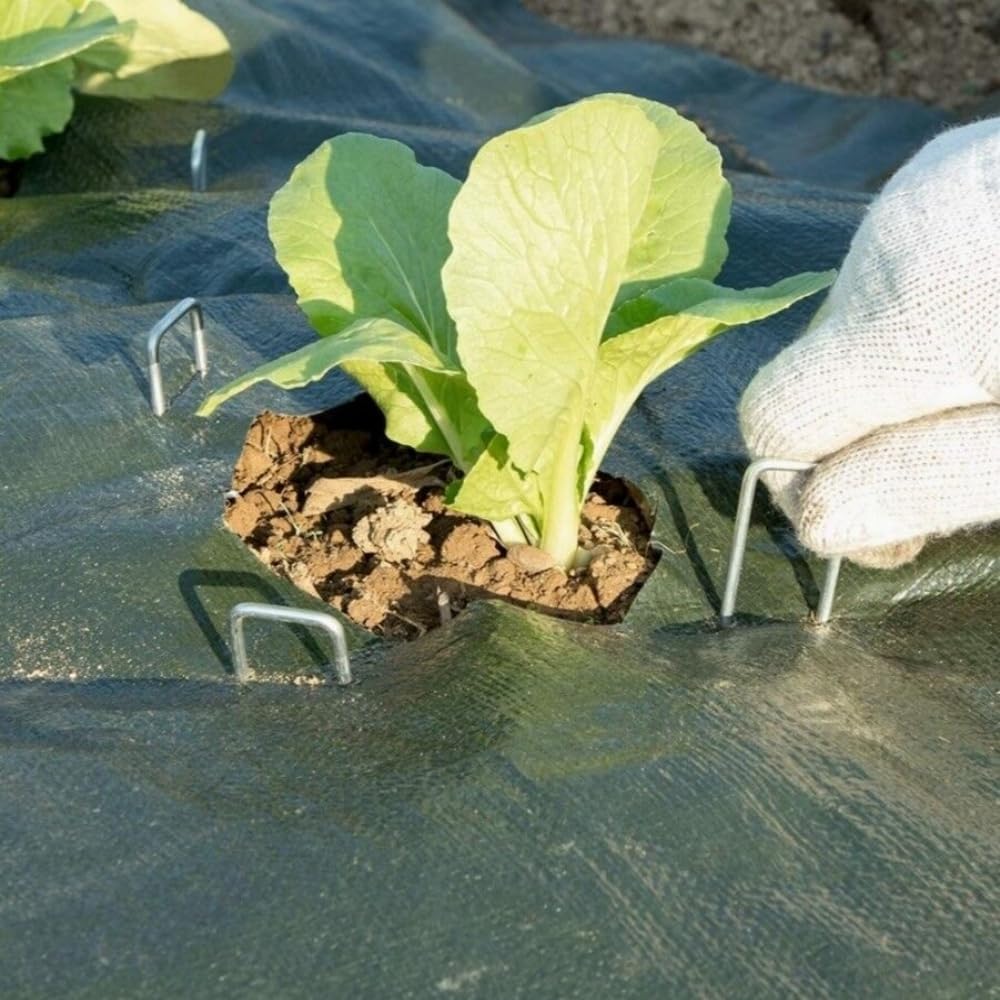 50Pcs U-type Garden Staples Heavy-duty Fence Stake Sod Pins Galvanized Landscape Stakes Spike for Holding Weed Barrier Ground Cover