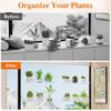 No Drill Window Shelf Plant with Suction Cup And Protective Edge, Clear Acrylic Floating Sturdy Vertical Garden Display Shelf, Wall Mounted