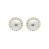 Luxenter 18-karat Yellow Gold Finished Earrings - Nyma