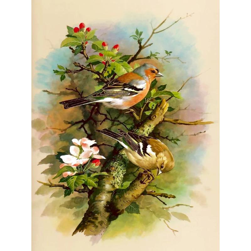 Canvas paintings, animals, birds, home decor, gift craftsmanship, living room, bedroom, wall decoration