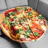 Giant Pizza Blanket XXL 120 Cm XXL Warm Soft Comfort Plaids