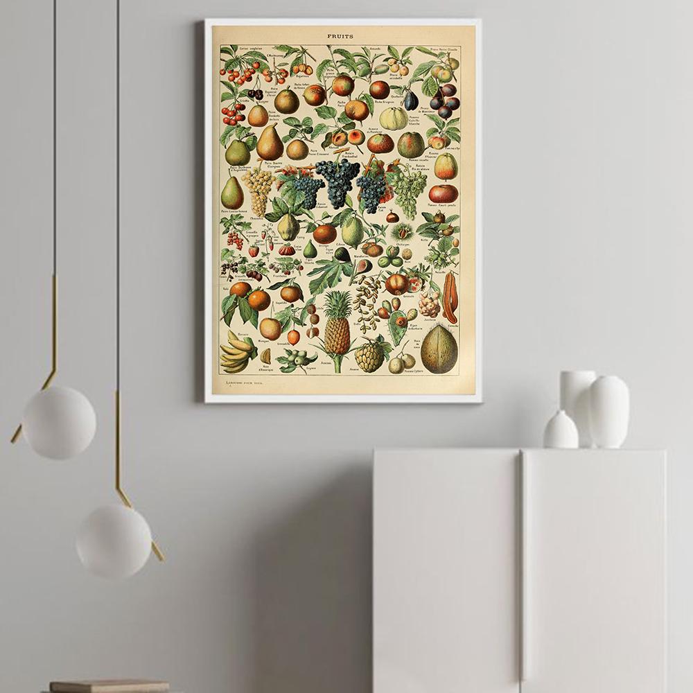 Vintage ovoce, zelenina, fazole graf nástěnný plakát plakát kuchyně