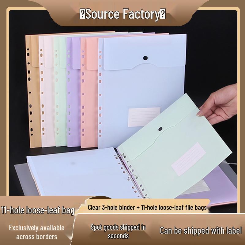 Transparent 3-Hole Folder with 11-Hole Pages, Vertical Snap Closure