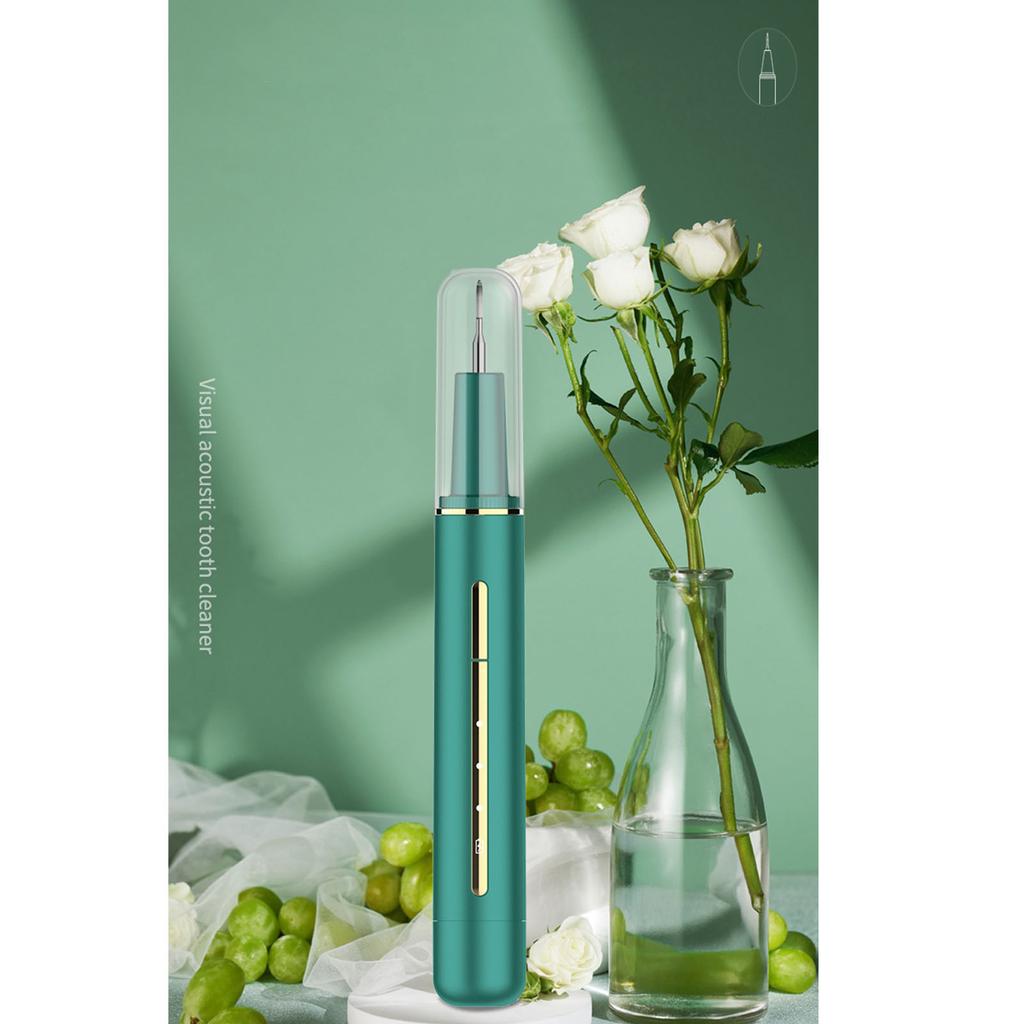 Electric Teeth Cleaner Dental Calculus Remover Electric Teeth Cleaning Kit with LED Light 3 Adjustable Modes for Teeth