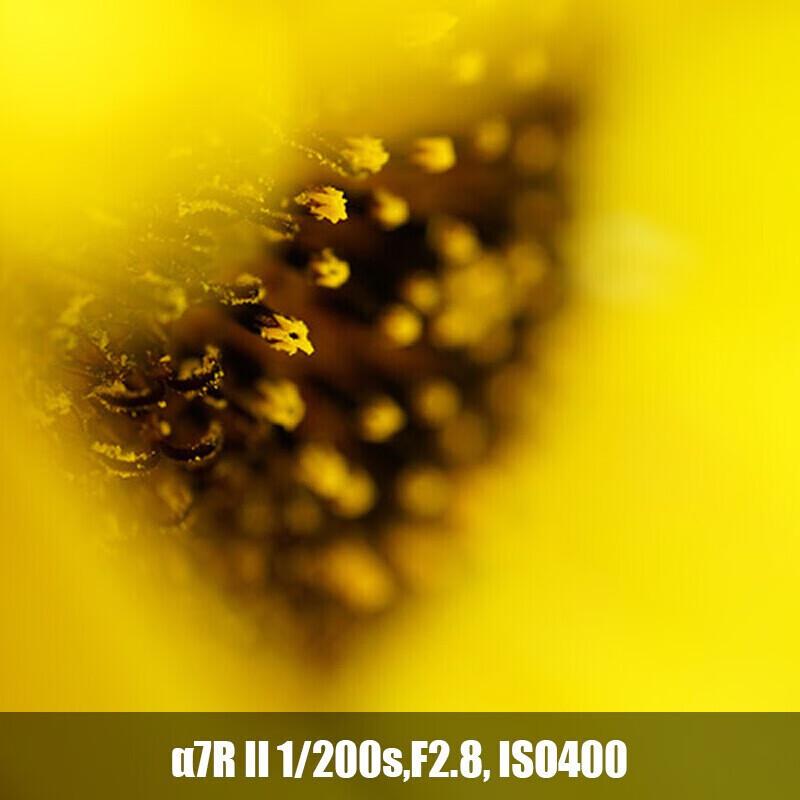Sony Объектив FE 70-200mm f/2.8 GM OSS G Master (1-е поколение)