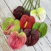 Anthurium Artificiale Piccolo Multicolore 61cm Tocco Reale Pianta Simulazione Gomma Morbida Oggetti di Scena Fotografici Fiore Finto Decorazione per la Casa