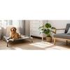 Elevated Cooling Dog Bed, Breathable Anti-slip Pet Cot for Medium Dogs