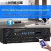 Lingsheng DB2 Professional Bluetooth Power Amplifier