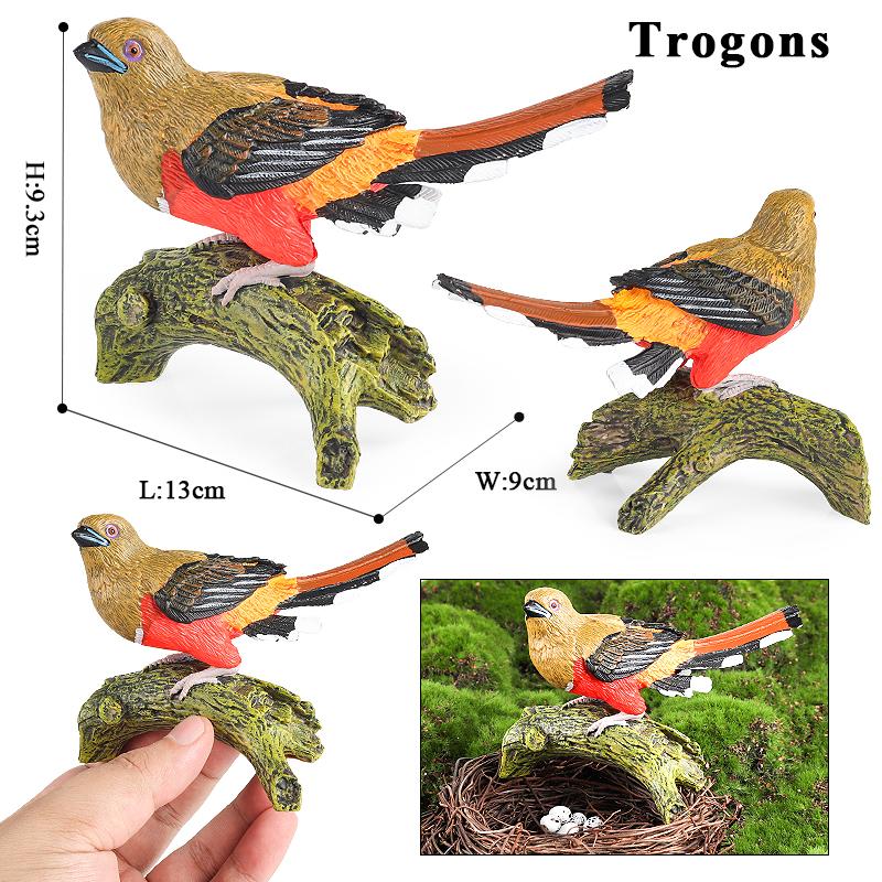 Oenux Bird Nest Animals Peacock Parrot Trogon Hornbill Owl Model PVC Action Figures Big Garden Decoration Cute Kids Toy Gift