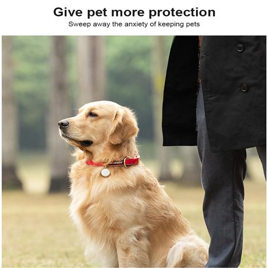 dog tracking equipment