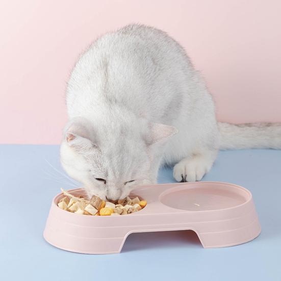 Pet Dishes Solid Color Double Bowl PP Material Cat Food Dispenser for Indoor