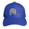 Echidna and Willie Wagtail Baseball Cap Hat Beach Designer Cap Hip Hop Unisexs Big Size Hat Unisex Luxury Brand Womens