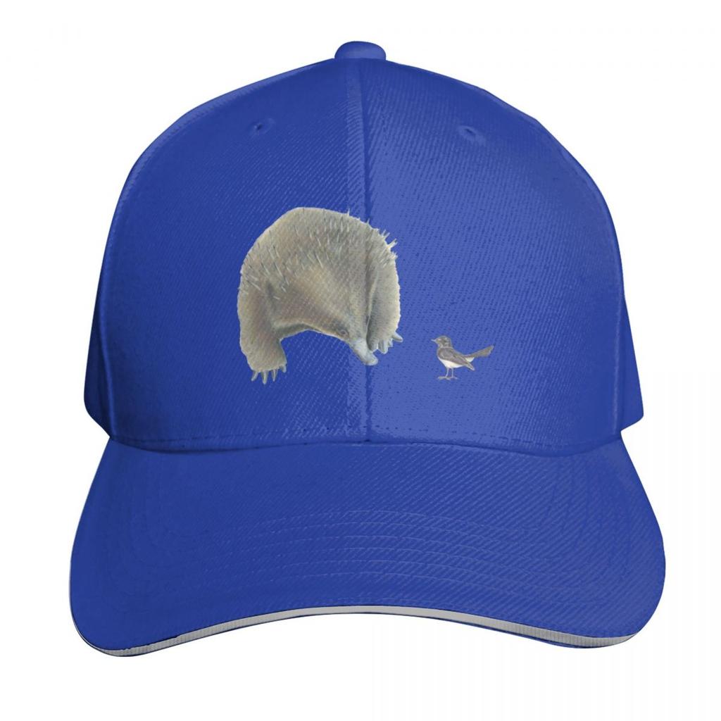 Echidna and Willie Wagtail Baseball Cap Hat Beach Designer Cap Hip Hop Unisexs Big Size Hat Unisex Luxury Brand Womens