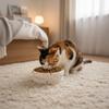 Easy Clean Wide Mouth Ceramic Cat Bowl Cartoon Donut Shape Pet Water Bowl Anti-Tip Heavy Base Dog Food Bowl For Feeding