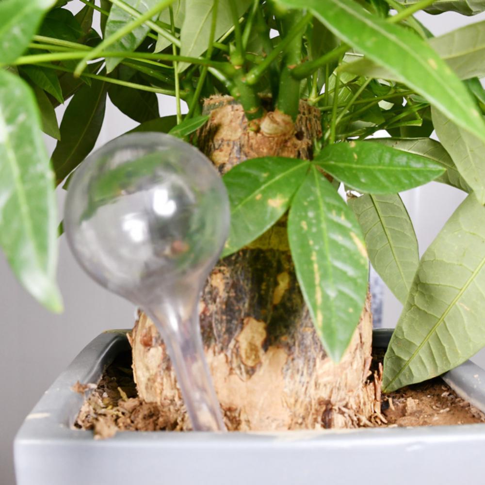 105mm Clear Glass Tube Oil Nail Glass Oil Burner Thick Glass Oil Burner Tube Watering Can Gardening Plant Mister