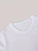Taglie Europee T-shirt Stampata da Ragazzo - Grafica Carina di Orsetto Skater, Maglietta Estiva a Maniche Corte Leggermente Trasparente per Bambini, Abbigliamento Casual e per lo Skate Park